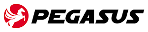 Pegasus